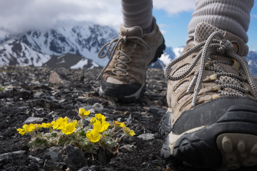Cách chọn giày leo núi, giày trekking phù hợp | Viettrekking