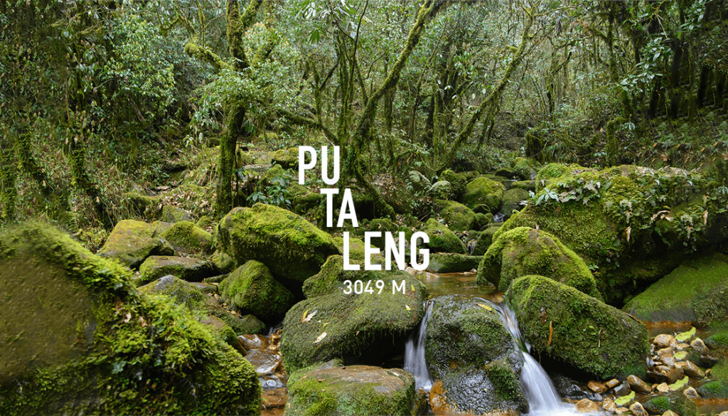 Tour trekking chinh phục Pu Ta Leng - Viettrekking