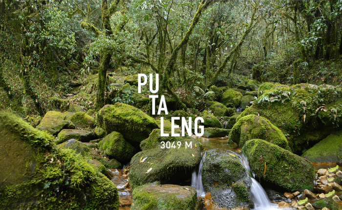 Tour trekking chinh phục Pu Ta Leng - Viettrekking