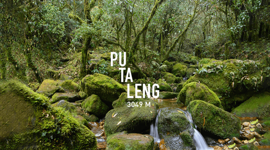 Tour trekking chinh phục Pu Ta Leng - Viettrekking