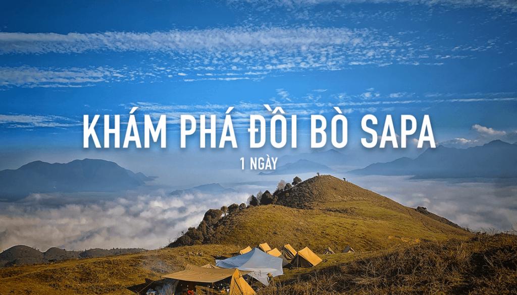 Tour Hiking – Camping khám phá đồi Bò Sapa