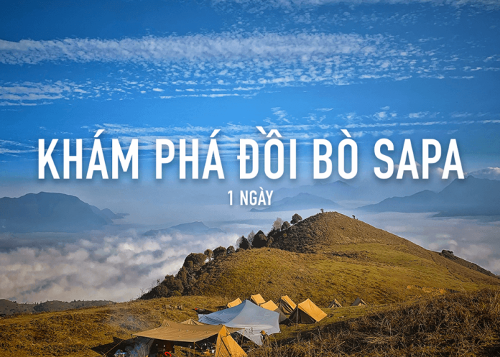 Tour Hiking – Camping khám phá đồi Bò Sapa