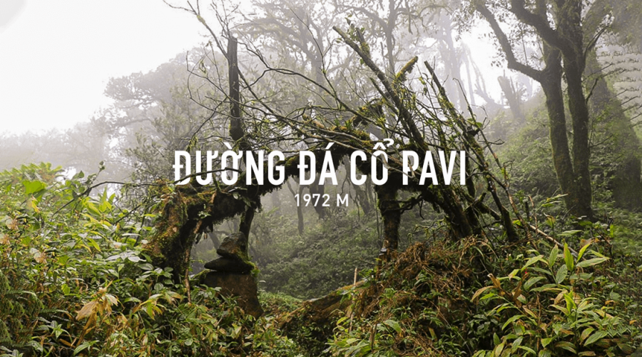 Tour trekking đường đá cổ Pavie