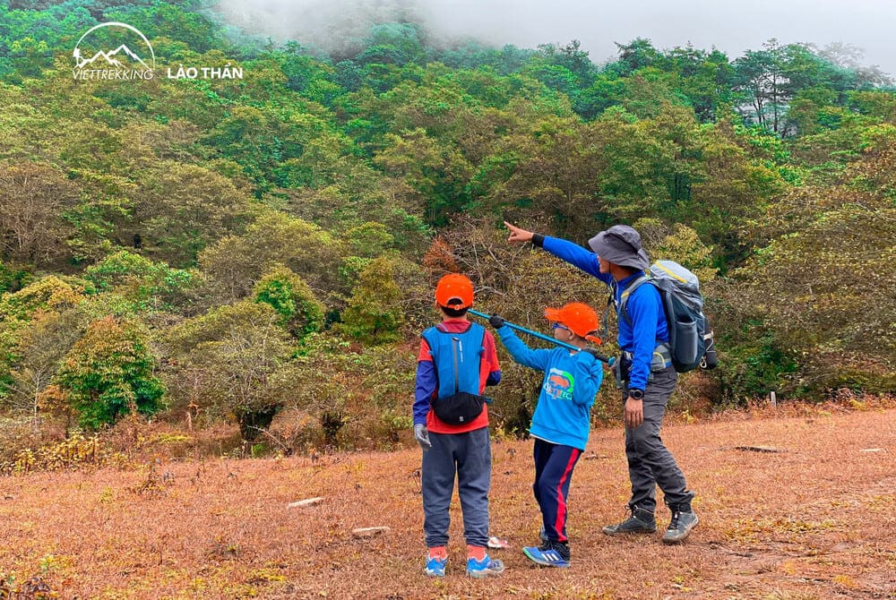 Trẻ em có thể tham gia trekking với những cung đường phù hợp