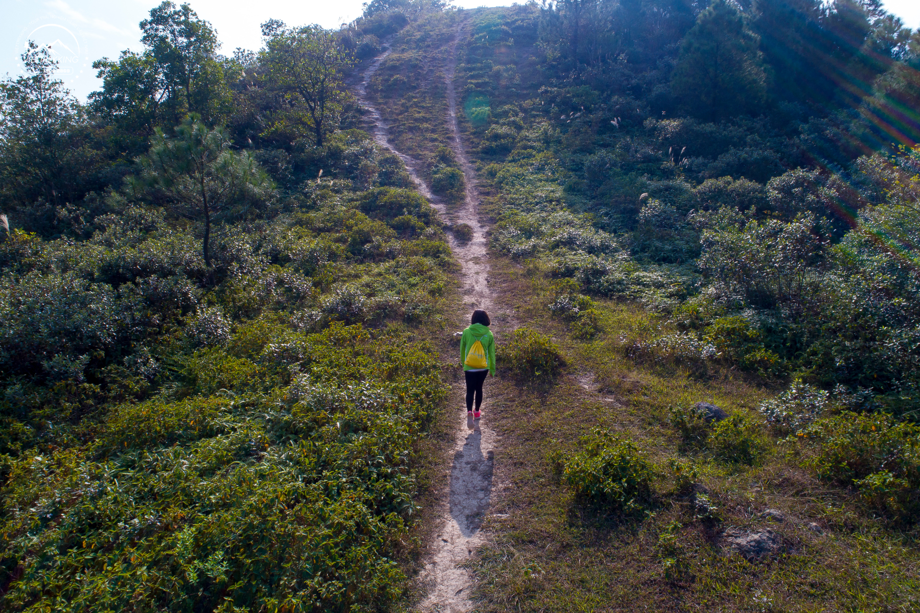 Hoạt động trekking đỉnh Hàm Lợn